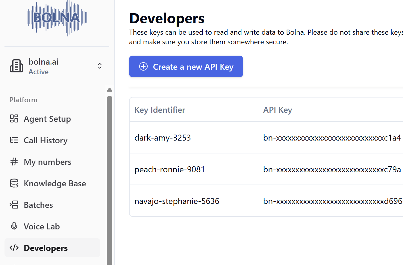 Open the Developers tab